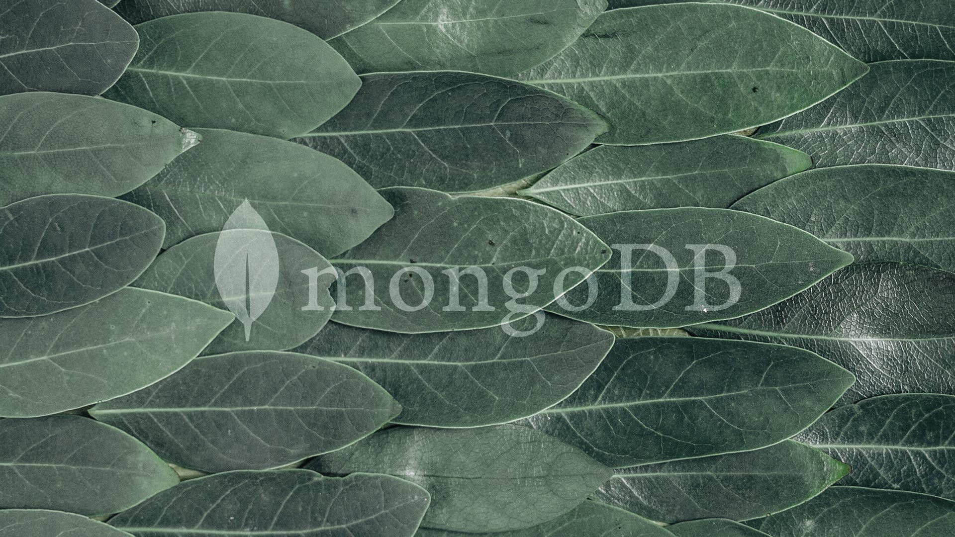 Cómo instalar y configurar MongoDB en Ubuntu 20.04