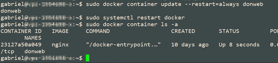 como administrar contenedores con docker en ubuntu 20.04 4