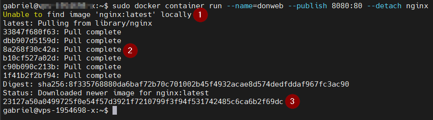 instalar docker y crear un contenedor en ubuntu 20.04 docker run