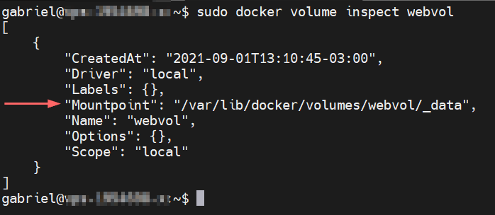 usar volumenes como almacenamiento con docker en ubuntu 20.04 3