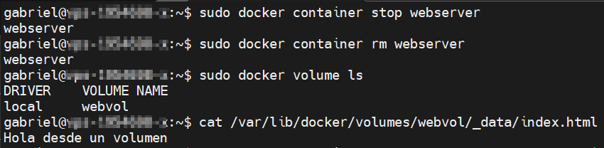 usar volumenes como almacenamiento con docker en ubuntu 20.04 5