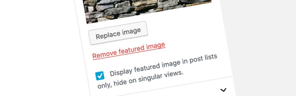ocultar imágenes destacadas en entradas de WordPress-2